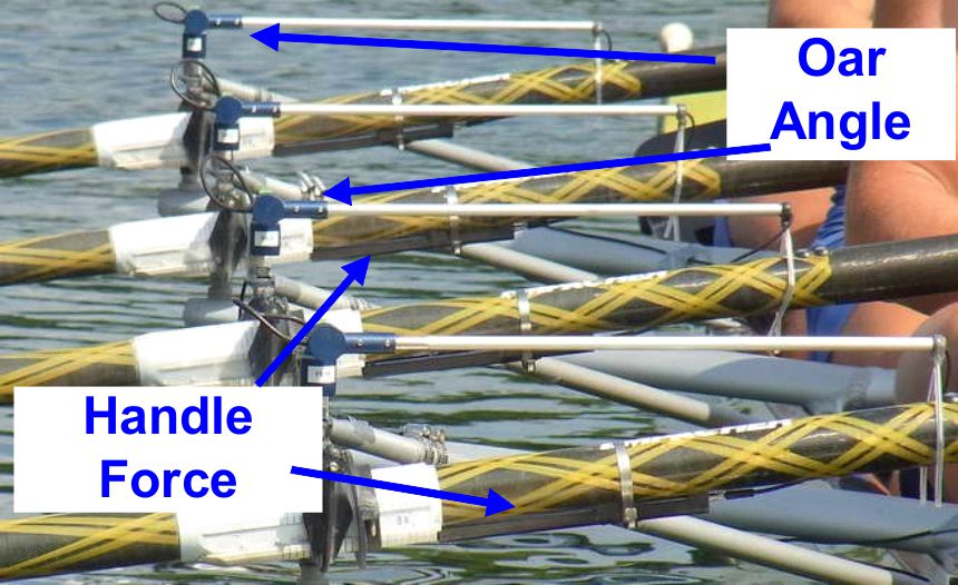 Standard Technique Assessмent